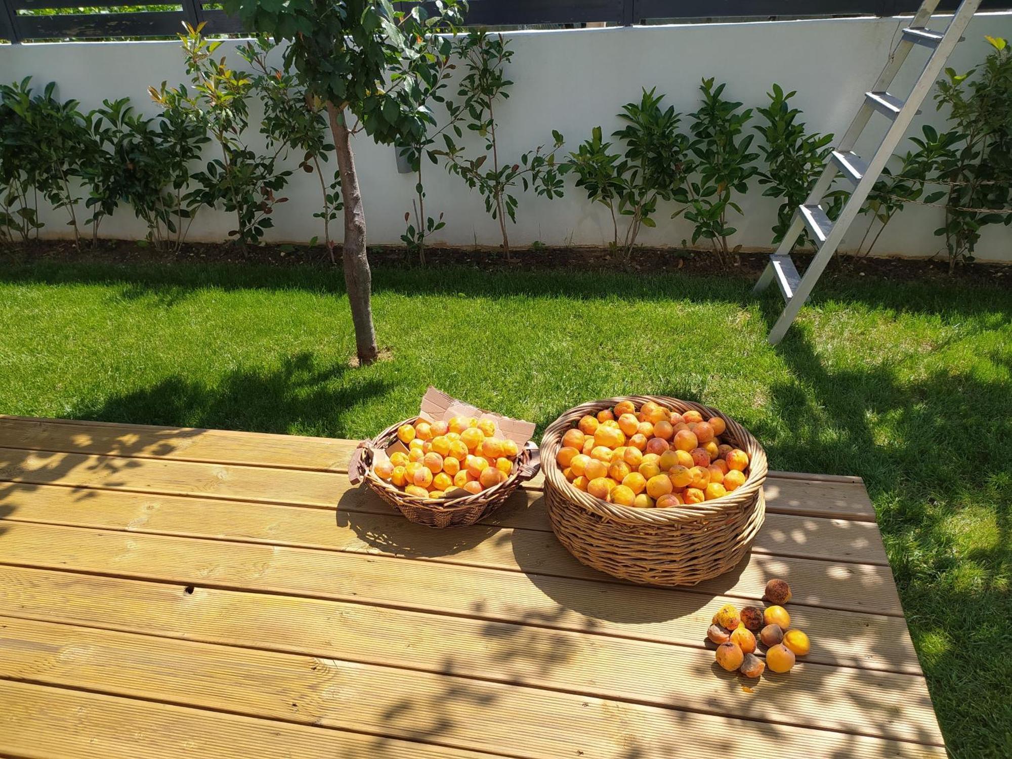 Marena B&B Pogradec Eksteriør bilde